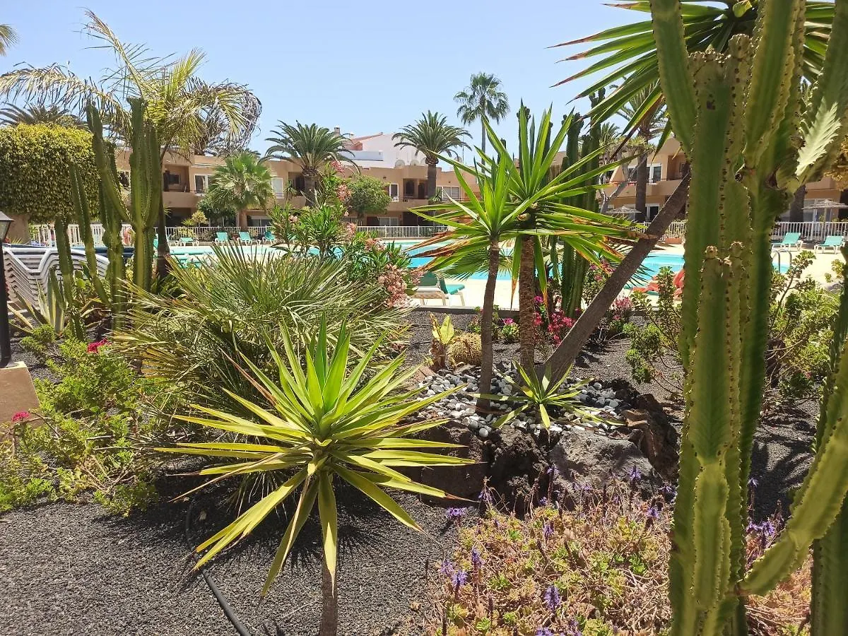 Casacalima Apartment Corralejo